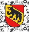 Stad_Bern_Sport_gross.jpg